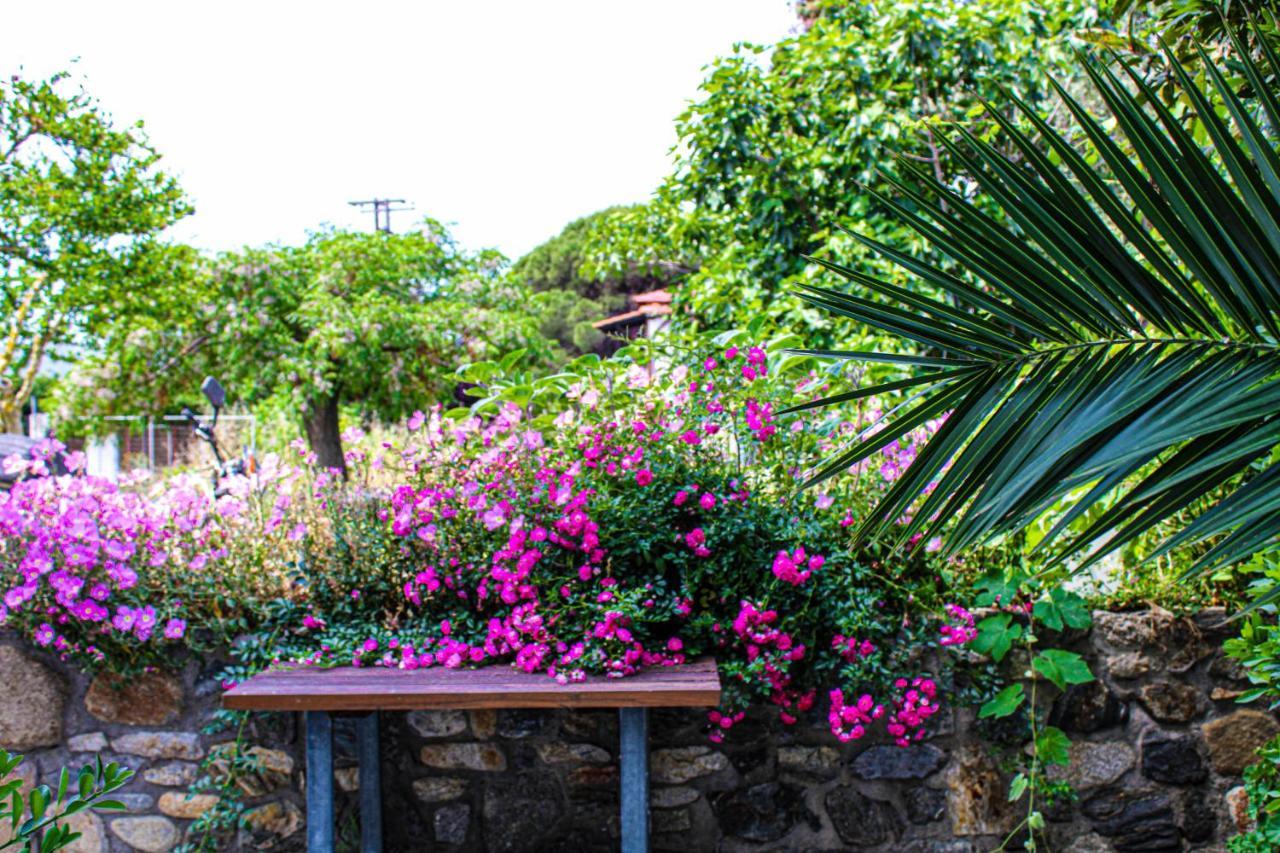 Theano Studios Paralia Sikias Buitenkant foto
